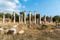 Ruined columns of Ionic double colonnade stoa in Agora market place area of Nysa ancient city in Aydin province of Turkey