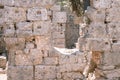 ruined construction of the old stone building. explore the ancient excavations of the ruins of the ancient Lycian city of Phaselis