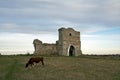 Ruined cossack gate and grazing cow