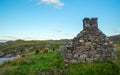 Ruined croft in Sutherland in Scottish Highlands Royalty Free Stock Photo