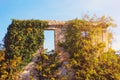 Ruined home. Wall of abandoned house overgrown with ivy