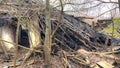 A ruined house in the forest. The roof and walls fell to the ground. Abandoned house. Everything around the house was overgrown