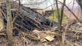 A ruined house in the forest. The roof and walls fell to the ground. Abandoned house. Everything around the house was overgrown