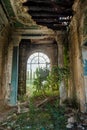 Ruined large hall interior overgrown by plants and moss Royalty Free Stock Photo