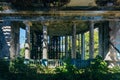 Ruined majestic mansion interior overgrown by plants. Nature and abandoned architecture, green post-apocalyptic concept