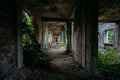 Ruined mansion corridor interior overgrown by plants. Nature and abandoned architecture, green post-apocalyptic concept