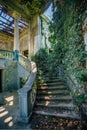 Ruined mansion interior overgrown by plants Overgrown by ivy spiral staircase and column