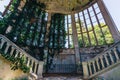 Ruined mansion interior overgrown by plants Overgrown by ivy windows and old staircase.