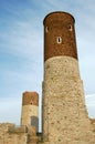 Ruined medieval castle with tower in Checiny