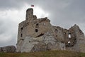 Ruined medieval castle with tower in Mirow