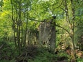 Ruined mill building surrounded by trees in green forest landscape in jumble hole clough in west yorkshire