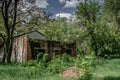 Ruined old house in the forest in Ukraine Royalty Free Stock Photo