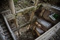 Ruined staircase with columns at abandoned mansion, Abkhazia, Georgia Royalty Free Stock Photo