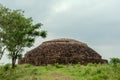 Ruined statue in heritage Buddhist excavated site Ratnagiri meaning hill of jewels between the Brahmani and Birupa rivers