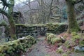 Ruined Stone Cottage