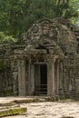 Ruined temple entrance with columns in jungle