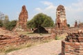 ruined temple (wat phra mahathat) - ayutthaya - thailand