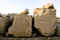 Ruined wall reliefs of Horus as a falcon and a bul Royalty Free Stock Photo