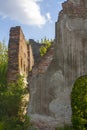 The ruined walls of the old catholic chapel. The ruins of an old church. Trees growing on old ruins