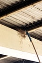 Ruining birds `nests on a railway platform