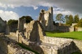 Ruins of Adare Castle Royalty Free Stock Photo