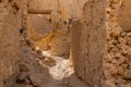 The ruins of ancient African Berber city fortress