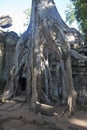 Ruins of ancient Angkor temple Ta Phrom
