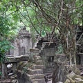 Ruins of ancient Beng Mealea Temple over jungle, Cambodia Royalty Free Stock Photo