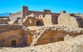 The archaeological site of Arg-e Rayen, Iran Royalty Free Stock Photo