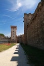 Ruins of the ancient Carrarese Castle in Este. Padua, Italy