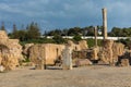 Ruins of the ancient Carthage city, Tunis, Tunisia, North Africa