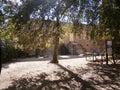 The ruins of an ancient castle in Laconi, Sardinia,Italy. Royalty Free Stock Photo