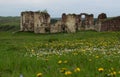 The ruins of the ancient castle are in the field, where growing spring grass and spring flowers against dark blue sky