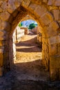 Ruins of ancient city Ayla in Aqaba, Jordan Royalty Free Stock Photo