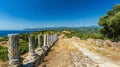 The Ruins of the Ancient City of Delphinia