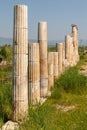 Ruins of the ancient city Magnesia Magnesia on the Maeander