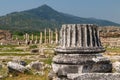 Ruins of the ancient city Magnesia Magnesia on the Maeander