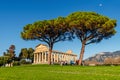 The ruins of the ancient city of Paestum. Ruins of a Greek city.