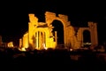 Ruins of ancient city of Palmyra - Syria