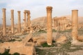 Ruins of ancient city of Palmyra - Syria