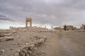 Ruins of ancient city of Palmyra - Syria