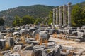 Ruins of the ancient city of Priene