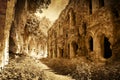 Ruins of ancient fort, Ukraine, artistic image Royalty Free Stock Photo