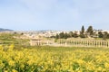 Ruins of the ancient Jerash, the Greco-Roman city of Gerasa in modern Jordan Royalty Free Stock Photo