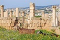 Ruins of the ancient Jerash, the Greco-Roman city of Gerasa in modern Jordan Royalty Free Stock Photo