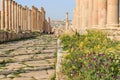 Ruins of the ancient Jerash, the Greco-Roman city of Gerasa in modern Jordan Royalty Free Stock Photo