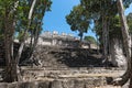 The ruins of the ancient Mayan city of calakmul, campeche, Mexico Royalty Free Stock Photo