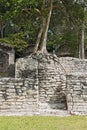 The ruins of the ancient Mayan city of Kohunlich, Quintana Roo, Mexico Royalty Free Stock Photo