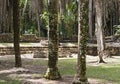 The ruins of the ancient Mayan city of Kohunlich, Quintana Roo, Mexico Royalty Free Stock Photo