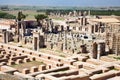 Ruins of ancient Persepolis Iran